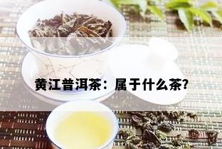 黄江普洱茶：属于什么茶？