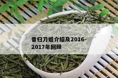 昔归刀姐介绍及2016-2017年回顾