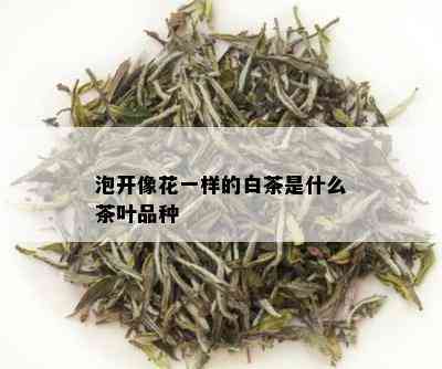 泡开像花一样的白茶是什么茶叶品种