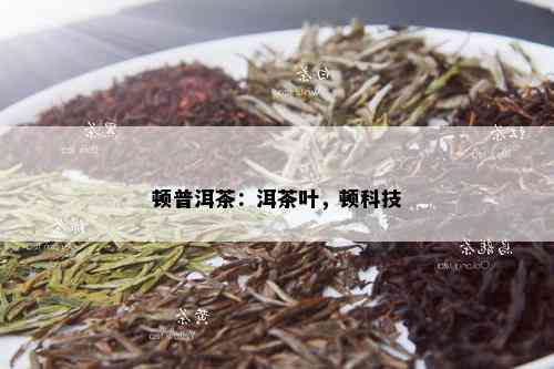 顿普洱茶：洱茶叶，顿科技