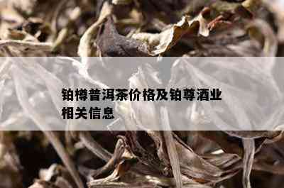 铂樽普洱茶价格及铂尊业相关信息