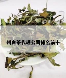 州白茶代理公司排名前十