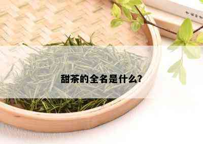 甜茶的全名是什么？