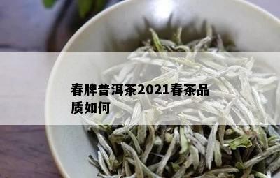 春牌普洱茶2021春茶品质如何