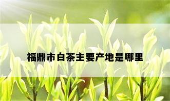 福鼎市白茶主要产地是哪里