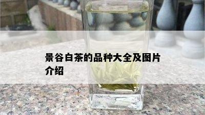 景谷白茶的品种大全及图片介绍