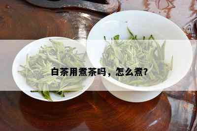 白茶用煮茶吗，怎么煮？