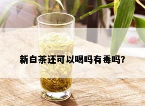 新白茶还可以喝吗有吗？