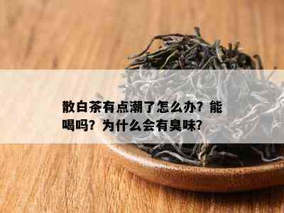 散白茶有点潮了怎么办？能喝吗？为什么会有臭味？