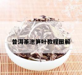 普洱茶泡笋叶教程图解