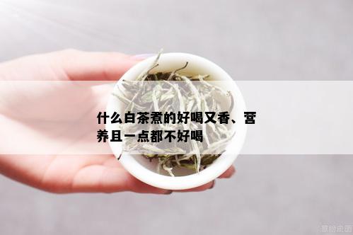 什么白茶煮的好喝又香、营养且一点都不好喝