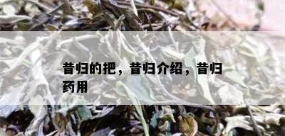 昔归的把，昔归介绍，昔归用