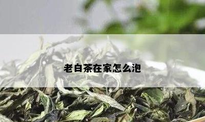 老白茶在家怎么泡