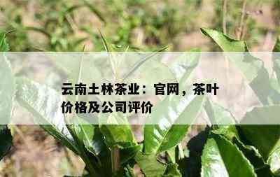 云南土林茶业：官网，茶叶价格及公司评价