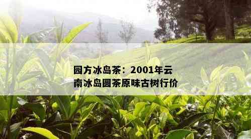 园方冰岛茶：2001年云南冰岛圆茶原味古树行价