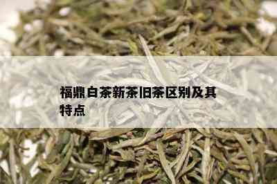 福鼎白茶新茶旧茶区别及其特点