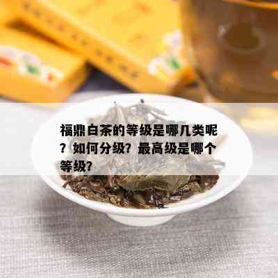 福鼎白茶的等级是哪几类呢？如何分级？更高级是哪个等级？