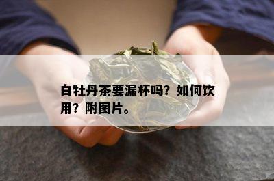 白牡丹茶要漏杯吗？如何饮用？附图片。