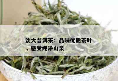 沈大普洱茶：品味优质茶叶，感受纯净山泉