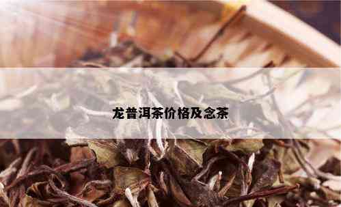 龙普洱茶价格及念茶