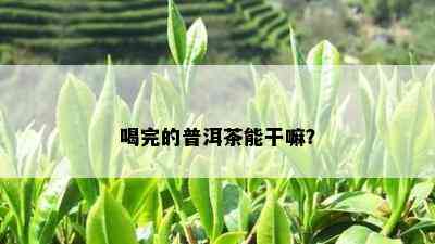 喝完的普洱茶能干嘛？