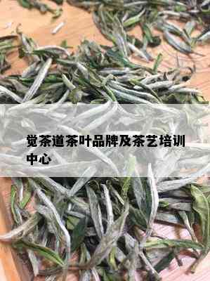 觉茶道茶叶品牌及茶艺培训中心