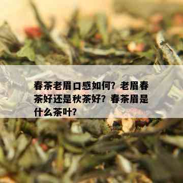 春茶老眉口感如何？老眉春茶好还是秋茶好？春茶眉是什么茶叶？