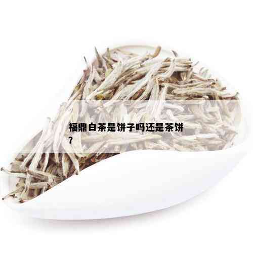 福鼎白茶是饼子吗还是茶饼？