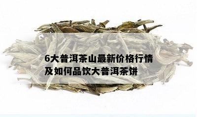 6大普洱茶山最新价格行情及如何品饮大普洱茶饼