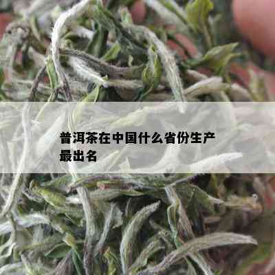 普洱茶在中国什么省份生产最出名