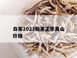 白茶2023新茶正宗高山价格