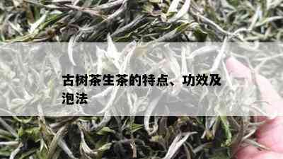 古树茶生茶的特点、功效及泡法