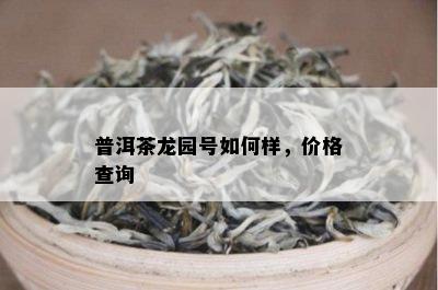 普洱茶龙园号如何样，价格查询