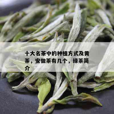 十大名茶中的种植方式及黄茶，安徽茶有几个，绿茶简介