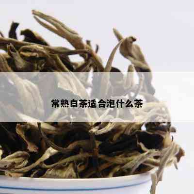 常熟白茶适合泡什么茶