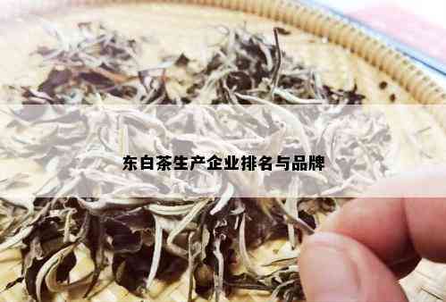 东白茶生产企业排名与品牌