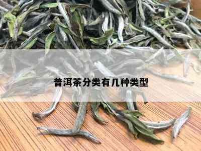 普洱茶分类有几种类型