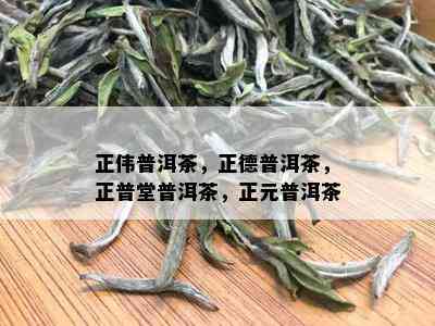 正伟普洱茶，正德普洱茶，正普堂普洱茶，正元普洱茶