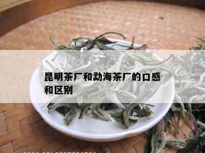 昆明茶厂和勐海茶厂的口感和区别