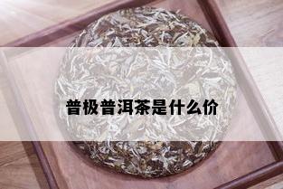 普极普洱茶是什么价