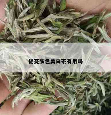 提亮肤色美白茶有用吗