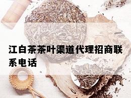 江白茶茶叶渠道代理招商联系电话