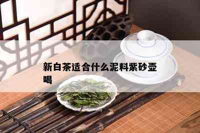 新白茶适合什么泥料紫砂壶喝