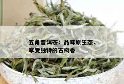 五角普洱茶：品味原生态，享受独特的古树香