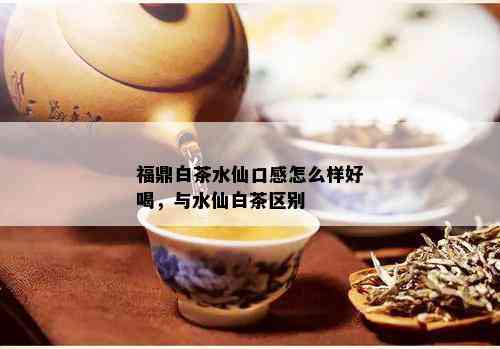 福鼎白茶水仙口感怎么样好喝，与水仙白茶区别