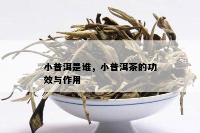 小普洱是谁，小普洱茶的功效与作用