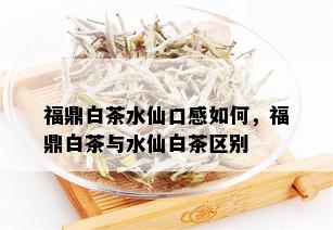 福鼎白茶水仙口感如何，福鼎白茶与水仙白茶区别