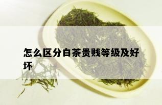 怎么区分白茶贵贱等级及好坏