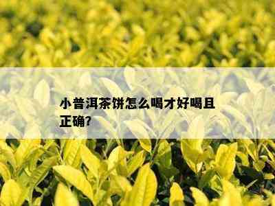 小普洱茶饼怎么喝才好喝且正确？