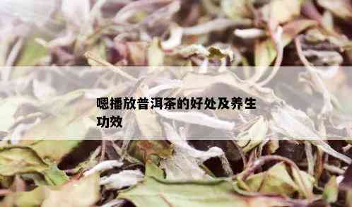 嗯播放普洱茶的好处及养生功效